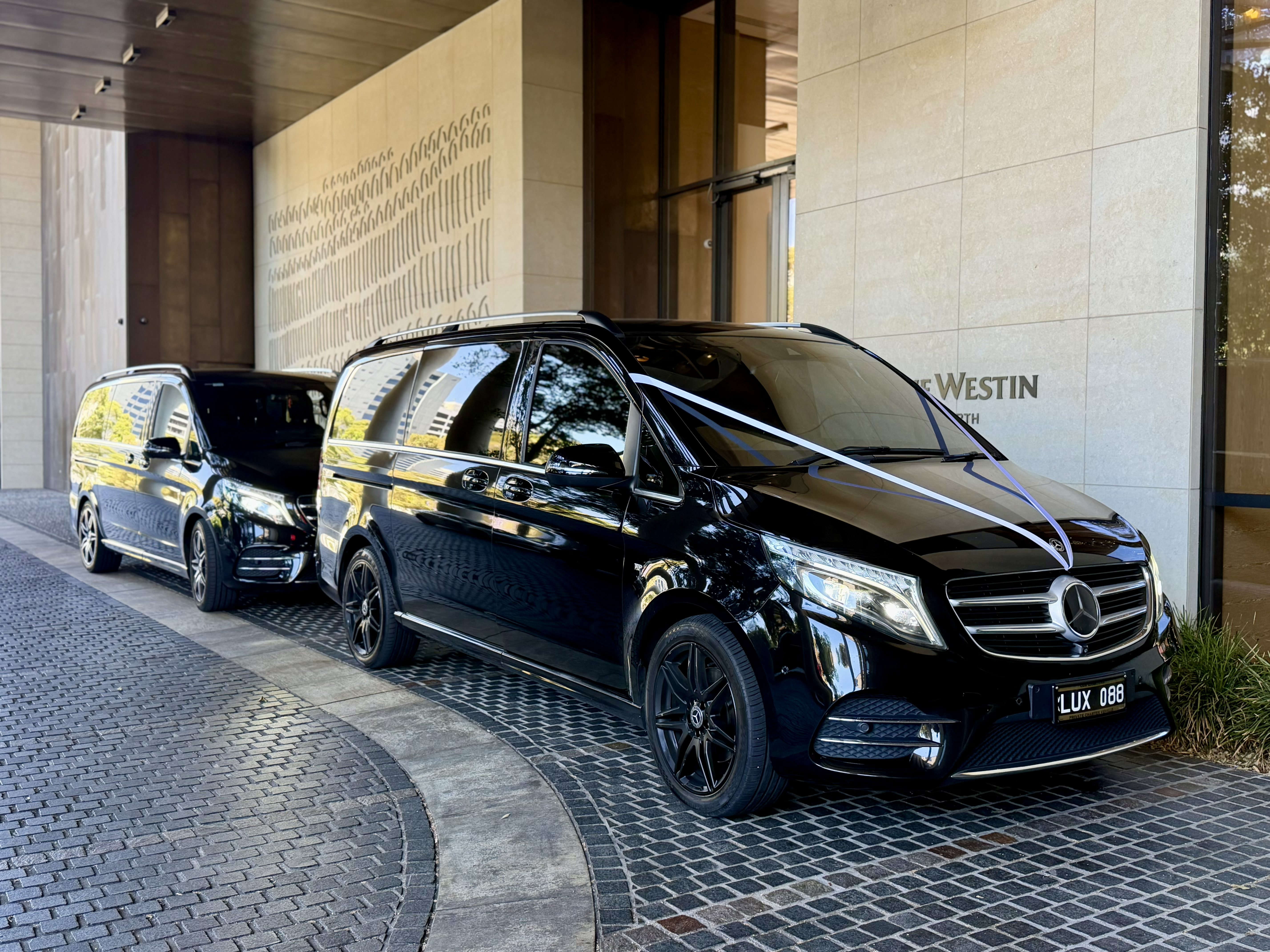 Chauffeur Opening Door